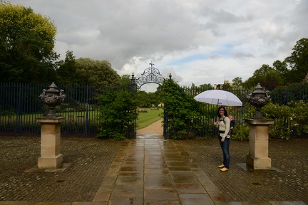 Trinity College Rain